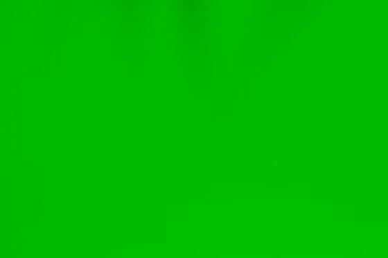 Erba il materiale decorativo glassato verde del fronte del PVC del film di vetro della finestra